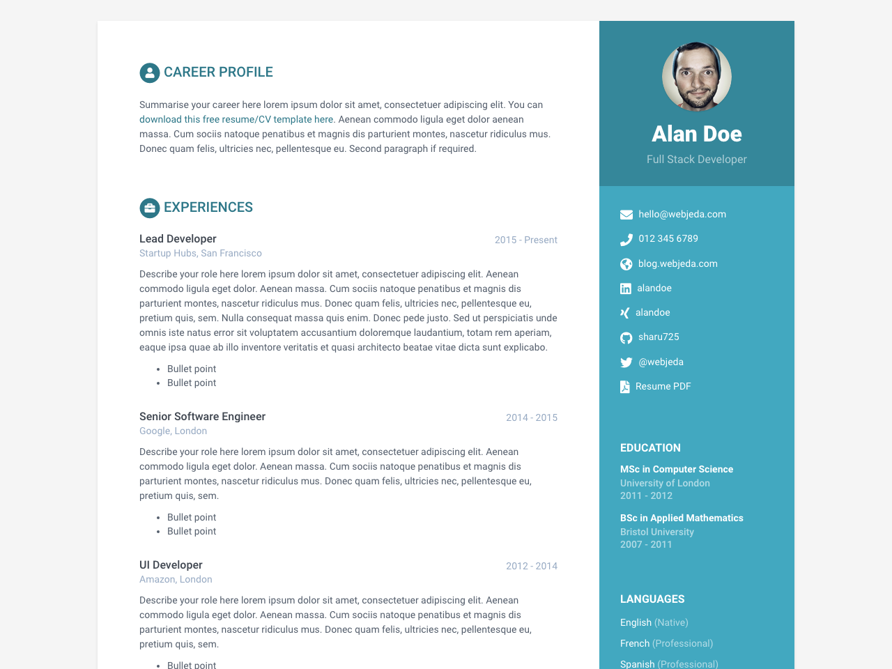 Online CV screenshot