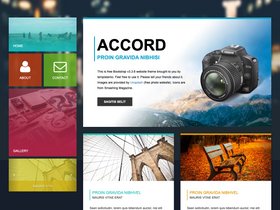 Panel CV - V2 screenshot